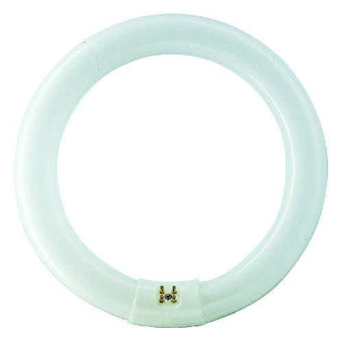 Ring-Leuchtstofflampe L 22 Watt 865 C G10q - Osram